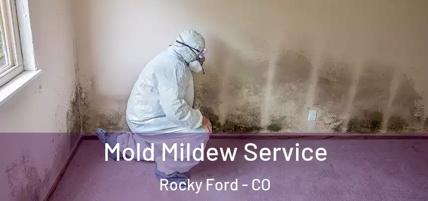  Mold Mildew Service Rocky Ford - CO