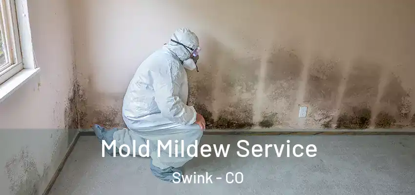 Mold Mildew Service Swink - CO
