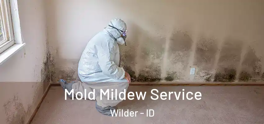  Mold Mildew Service Wilder - ID