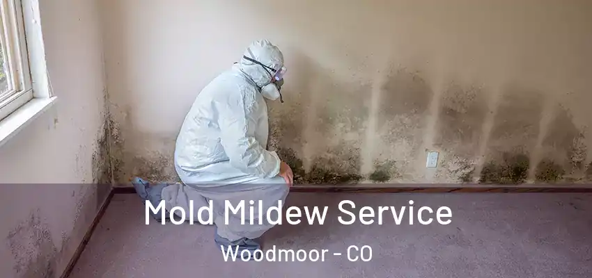  Mold Mildew Service Woodmoor - CO