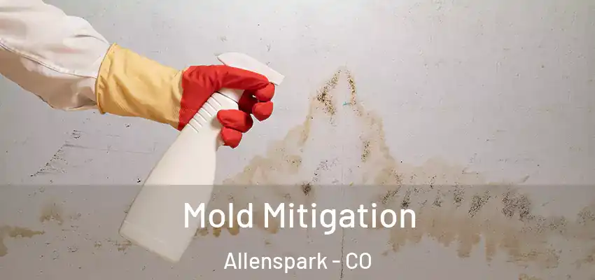  Mold Mitigation Allenspark - CO