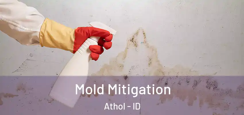  Mold Mitigation Athol - ID