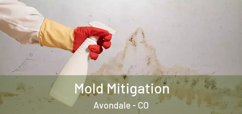  Mold Mitigation Avondale - CO