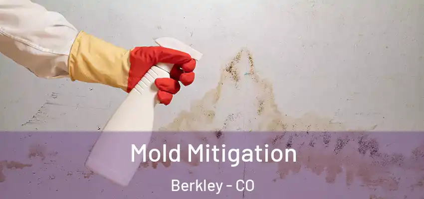  Mold Mitigation Berkley - CO