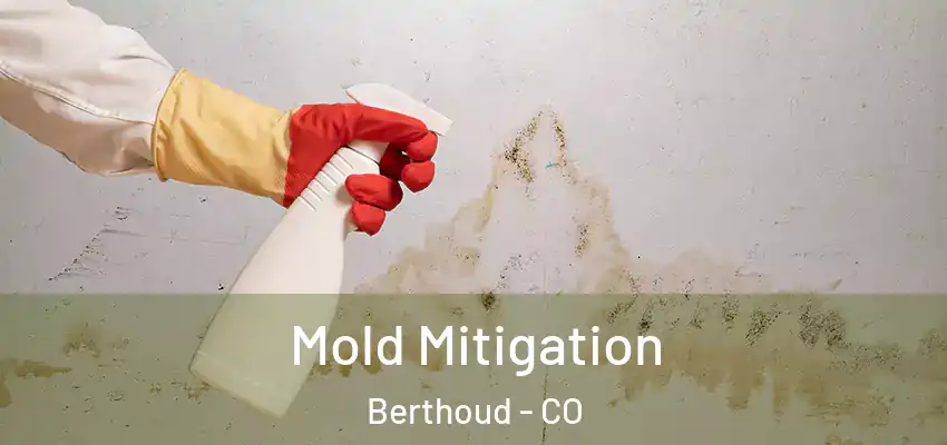  Mold Mitigation Berthoud - CO