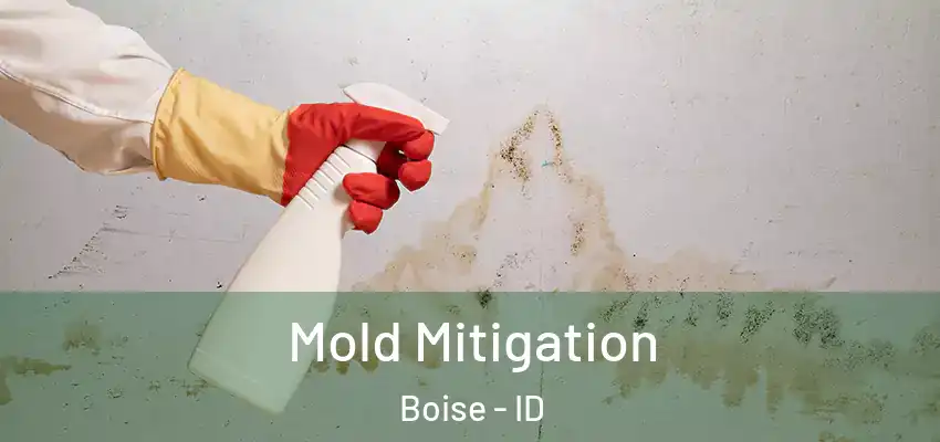  Mold Mitigation Boise - ID