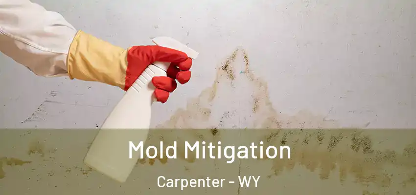  Mold Mitigation Carpenter - WY