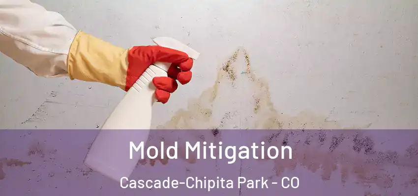  Mold Mitigation Cascade-Chipita Park - CO