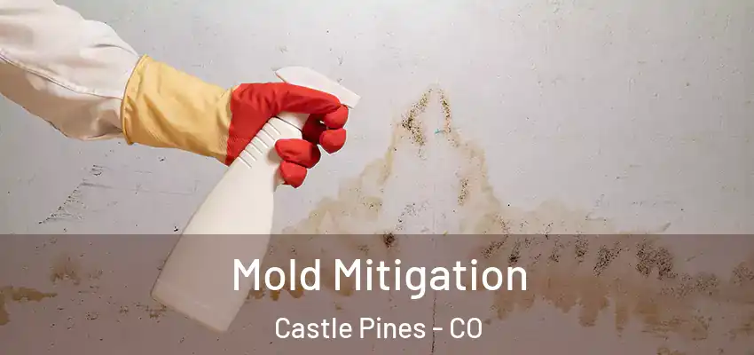  Mold Mitigation Castle Pines - CO
