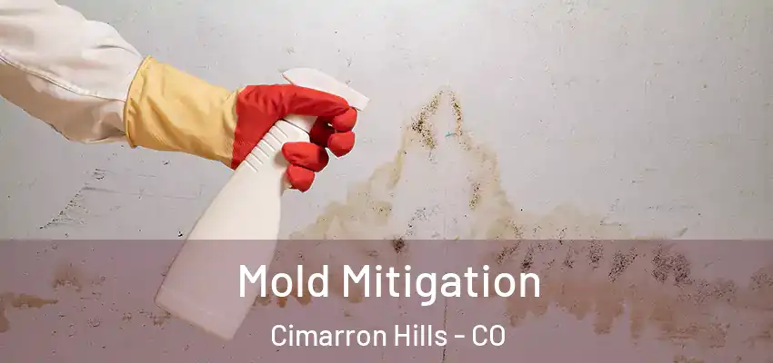  Mold Mitigation Cimarron Hills - CO