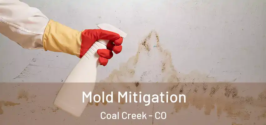  Mold Mitigation Coal Creek - CO