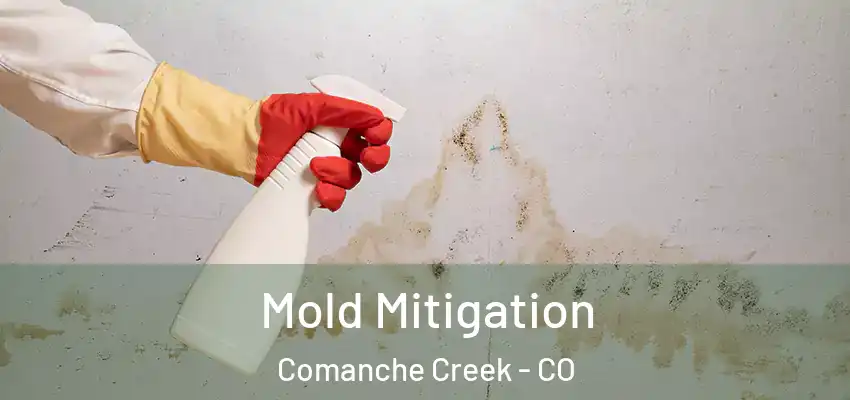  Mold Mitigation Comanche Creek - CO