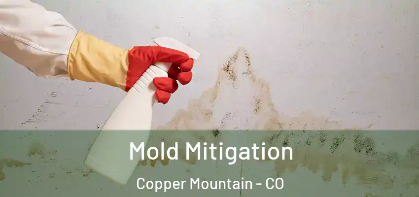 Mold Mitigation Copper Mountain - CO