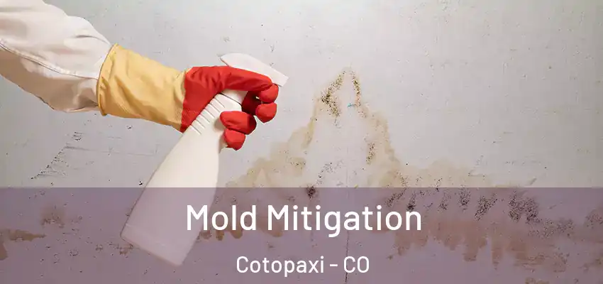 Mold Mitigation Cotopaxi - CO