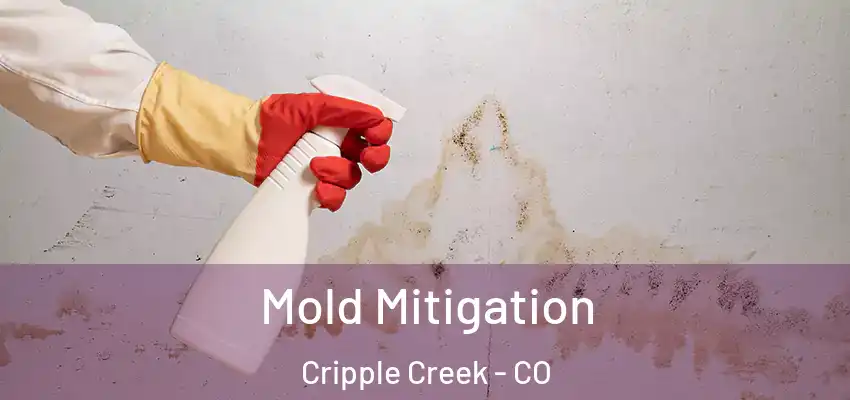  Mold Mitigation Cripple Creek - CO