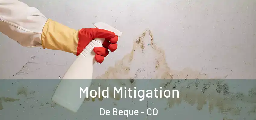 Mold Mitigation De Beque - CO