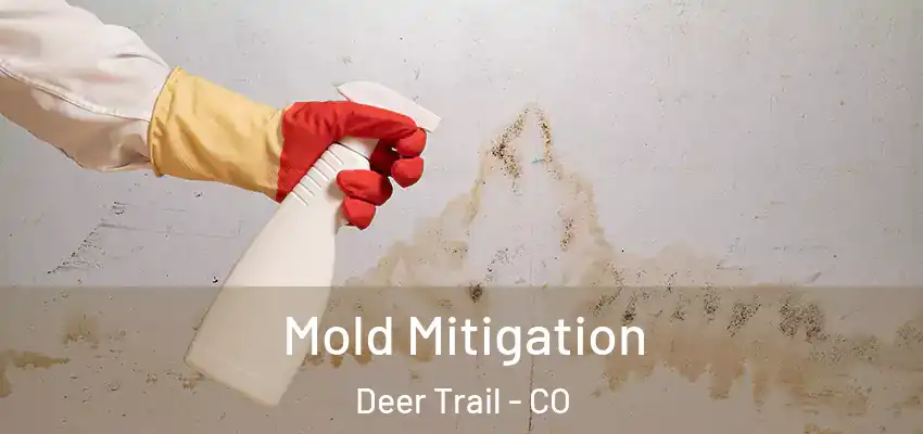 Mold Mitigation Deer Trail - CO