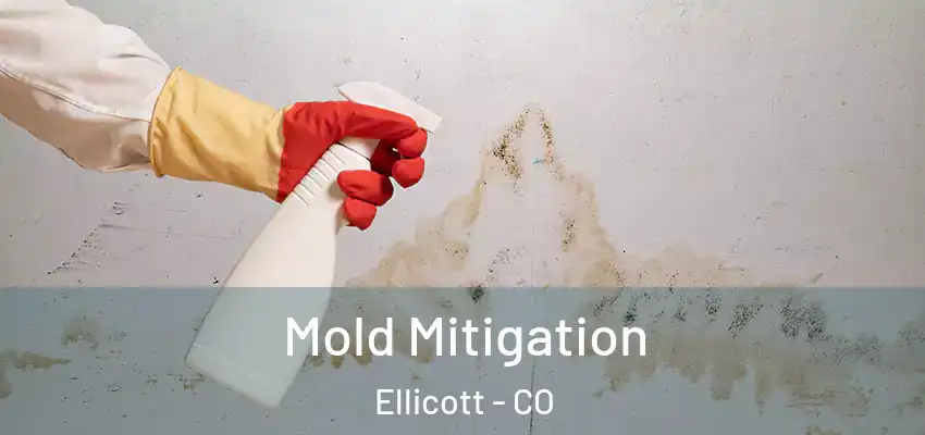 Mold Mitigation Ellicott - CO