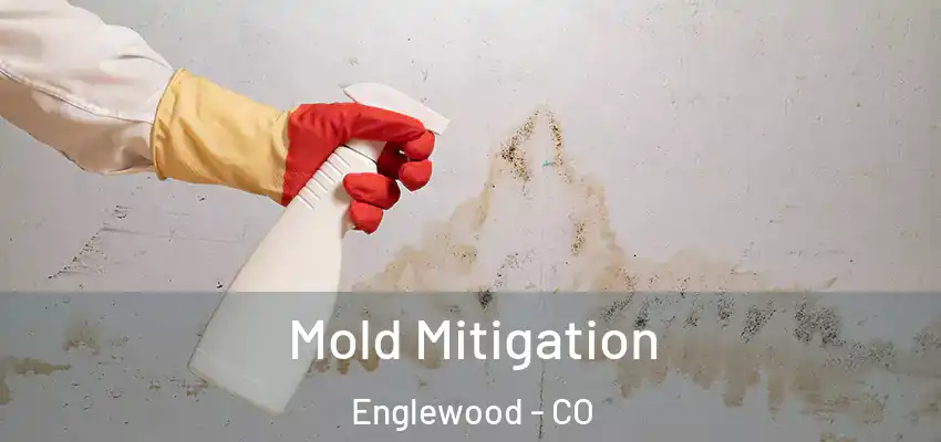 Mold Mitigation Englewood - CO