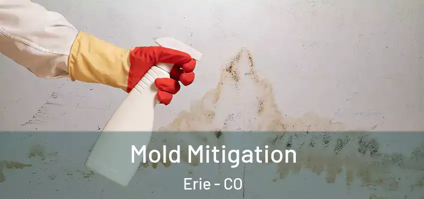 Mold Mitigation Erie - CO