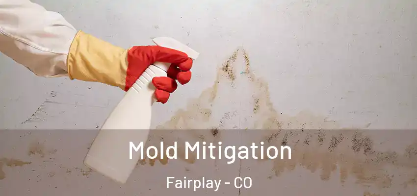 Mold Mitigation Fairplay - CO