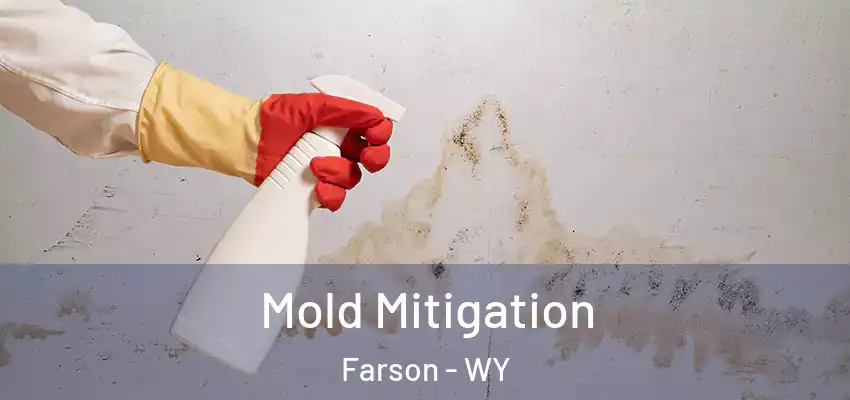 Mold Mitigation Farson - WY
