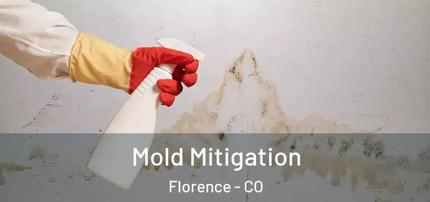 Mold Mitigation Florence - CO