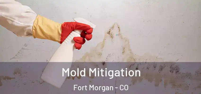 Mold Mitigation Fort Morgan - CO