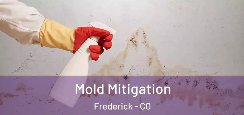 Mold Mitigation Frederick - CO