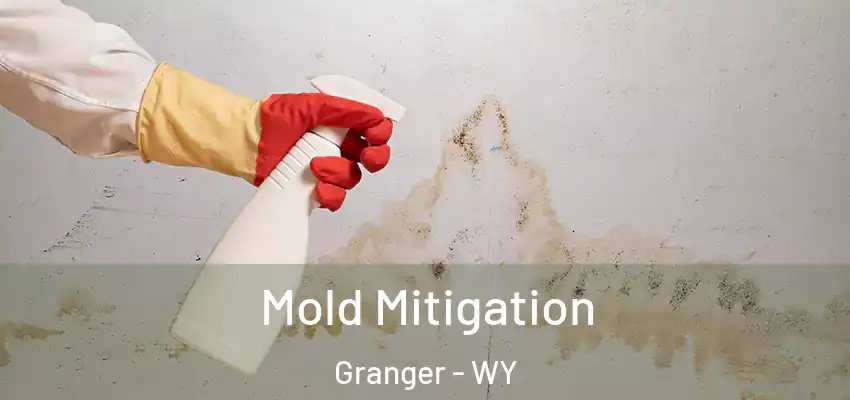 Mold Mitigation Granger - WY