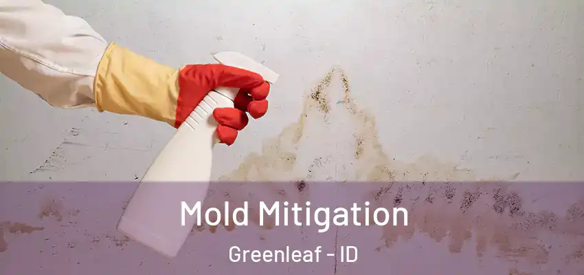  Mold Mitigation Greenleaf - ID