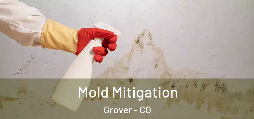 Mold Mitigation Grover - CO