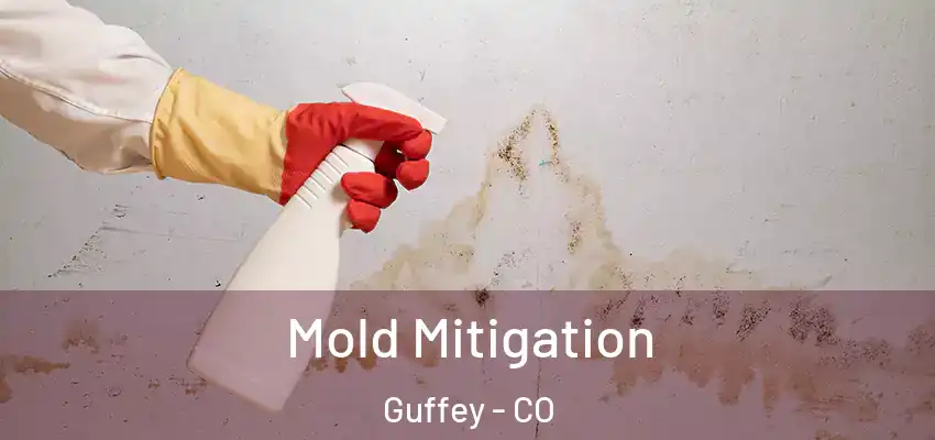 Mold Mitigation Guffey - CO