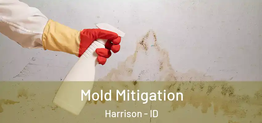  Mold Mitigation Harrison - ID