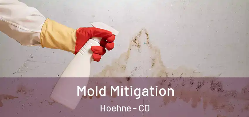Mold Mitigation Hoehne - CO