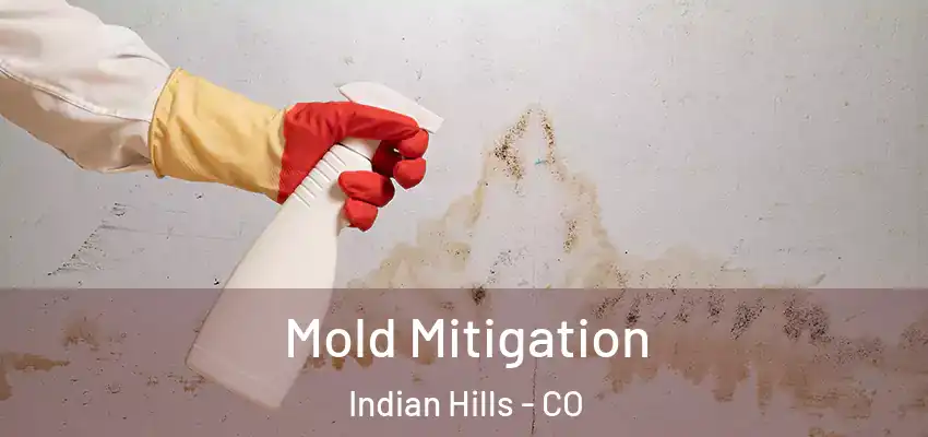  Mold Mitigation Indian Hills - CO