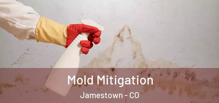 Mold Mitigation Jamestown - CO