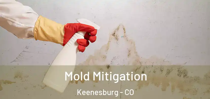 Mold Mitigation Keenesburg - CO
