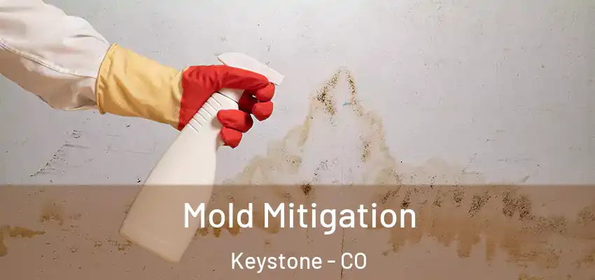 Mold Mitigation Keystone - CO