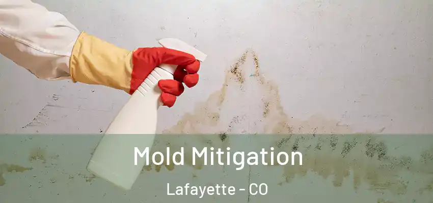 Mold Mitigation Lafayette - CO
