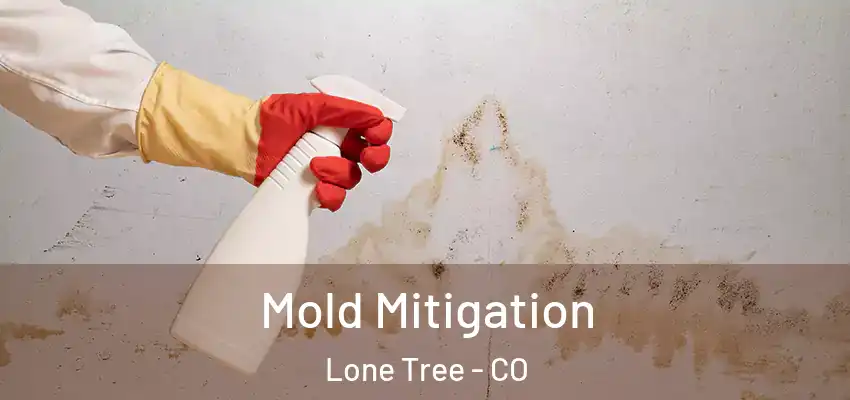 Mold Mitigation Lone Tree - CO