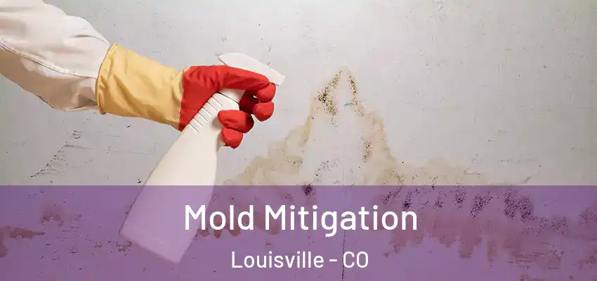 Mold Mitigation Louisville - CO