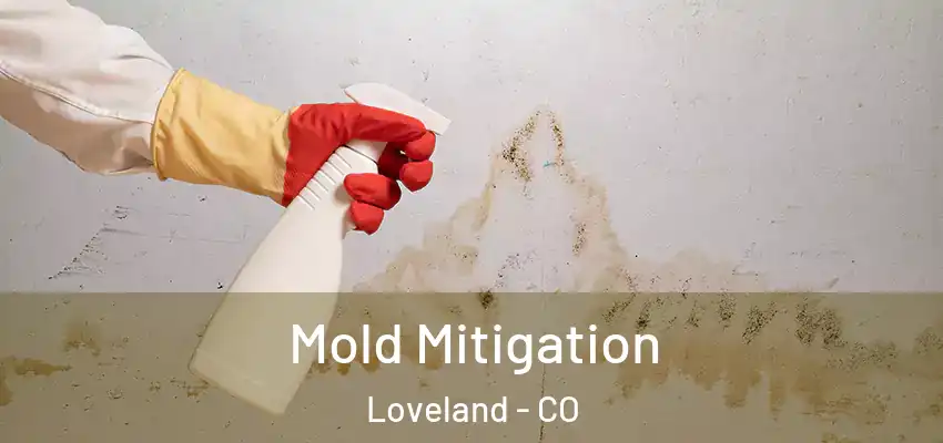 Mold Mitigation Loveland - CO