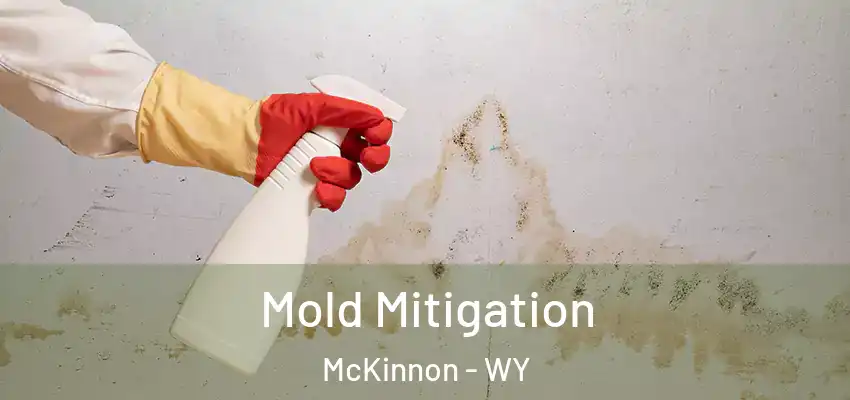 Mold Mitigation McKinnon - WY