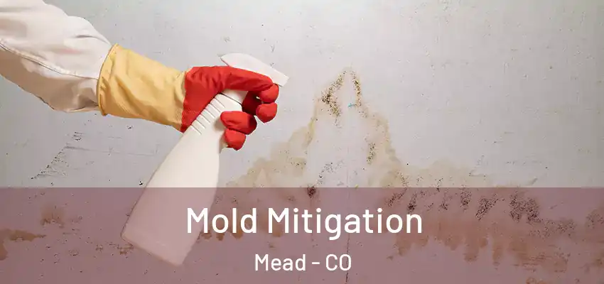 Mold Mitigation Mead - CO