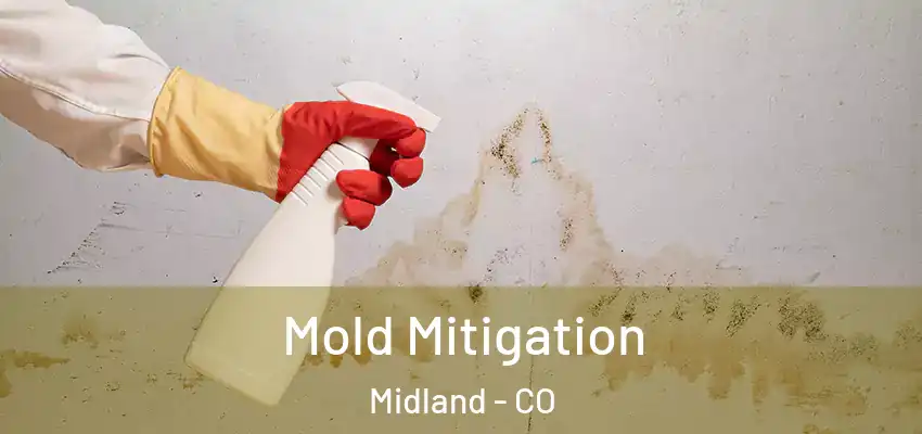 Mold Mitigation Midland - CO