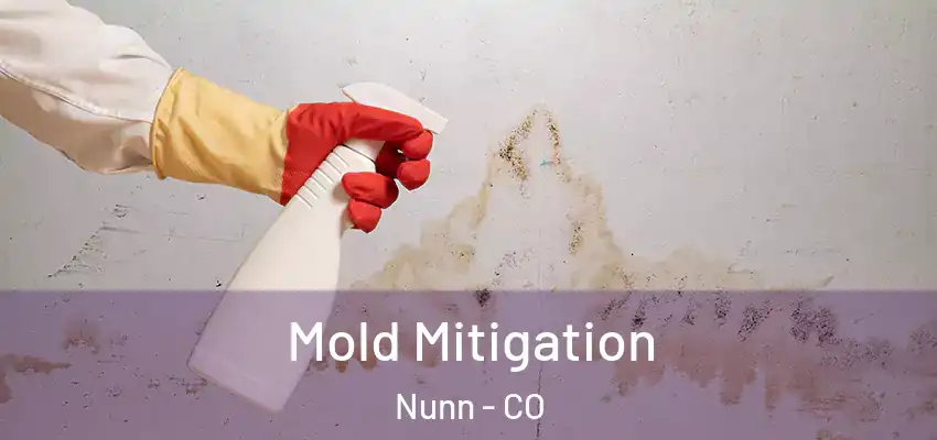 Mold Mitigation Nunn - CO