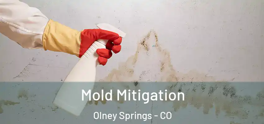  Mold Mitigation Olney Springs - CO