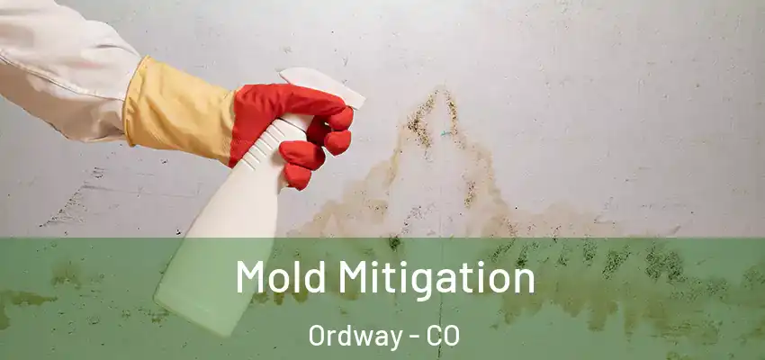 Mold Mitigation Ordway - CO