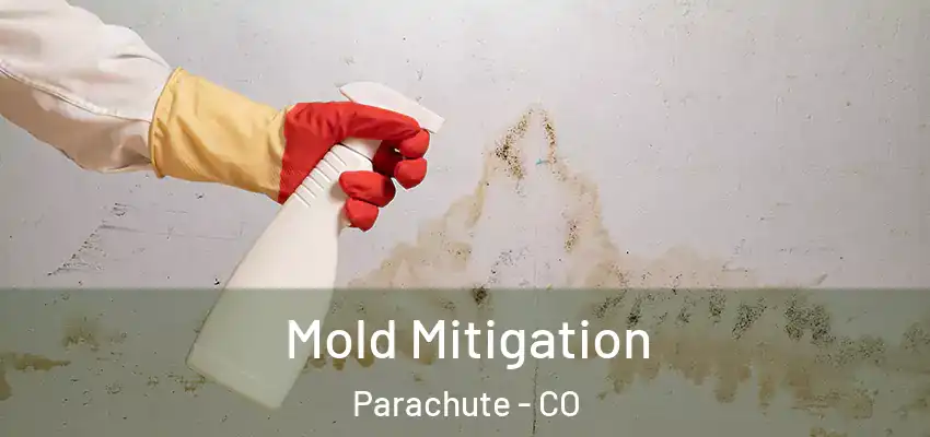 Mold Mitigation Parachute - CO